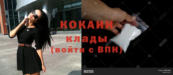 apvp Няндома