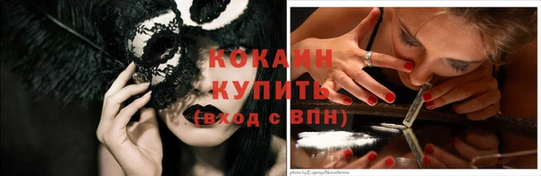 apvp Няндома