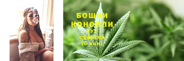 стафф Вязьма