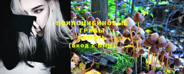 марки nbome Нязепетровск