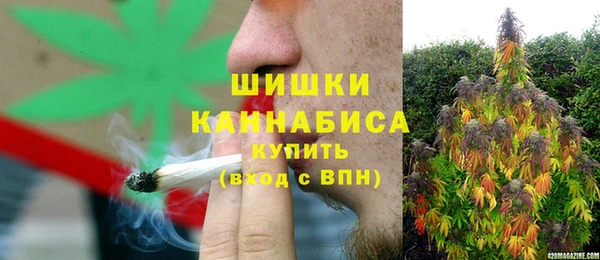 дживик Осташков